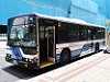 Okinawa bus
